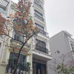  50m2 - 1