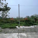  79m2 - 3