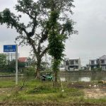  100m2 - 1
