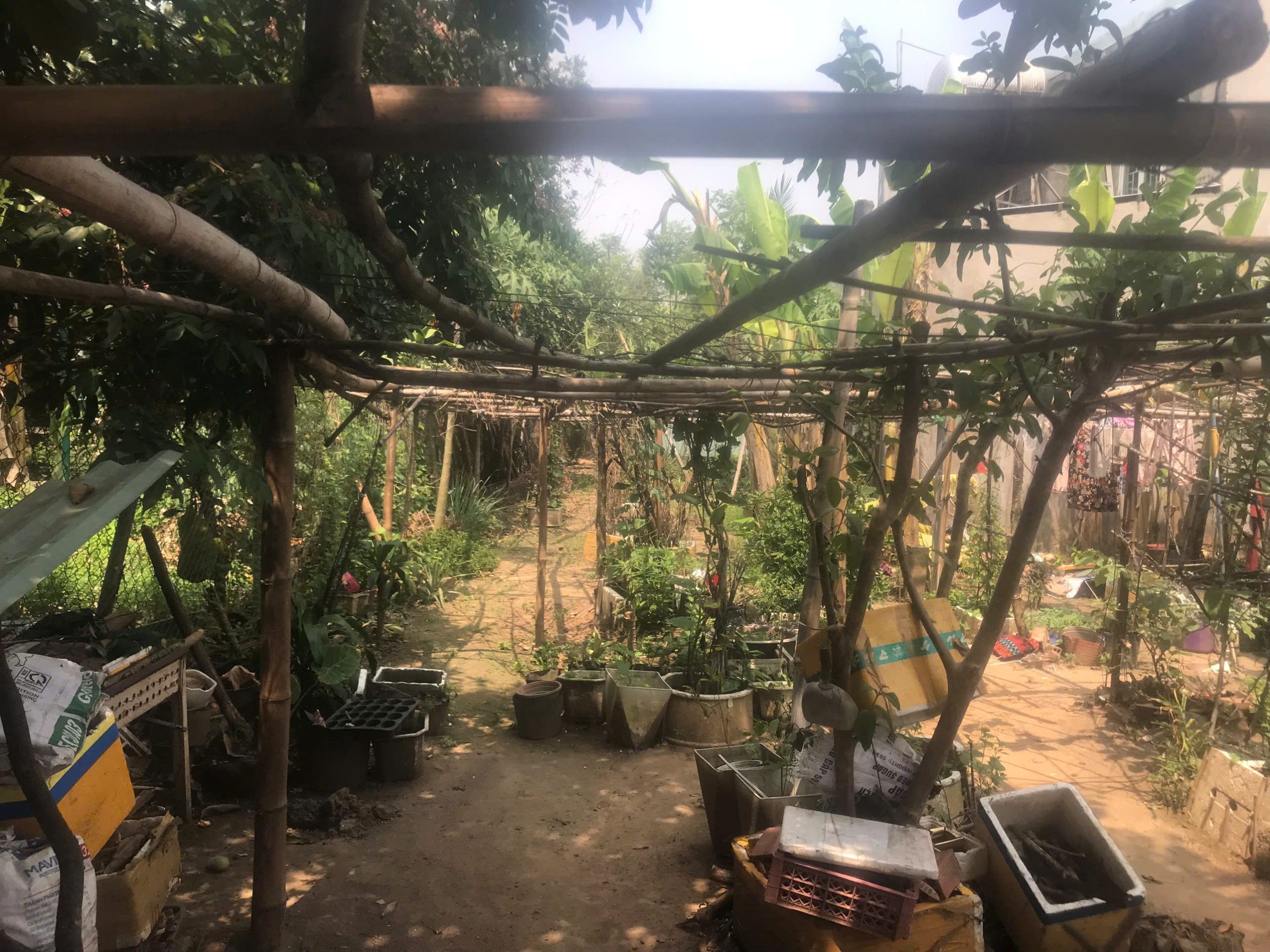 Bán đất tại Bình Hòa - Cây Dương, 950 triệu, 120m2, Vĩnh Cửu, Đồng Nai chỉ với giá cực chất