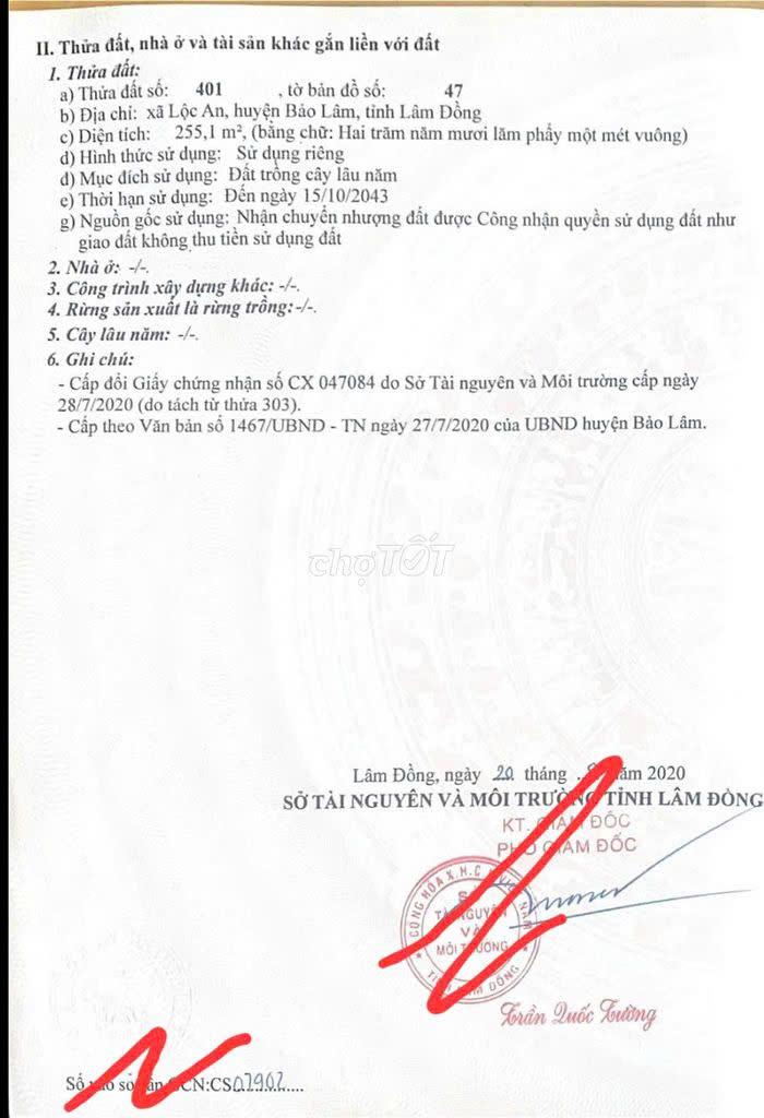 CẦN BÁN NHANH LÔ ĐẤT TẠI Thửa 401 TBĐ 47, Xã Lộc An, Thành phố Bảo Lộc, Lâm Đồng
