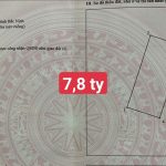  82m2 - 1