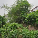  211m2 - 1