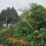  211m2 - 3