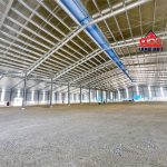  10000m2 - 5