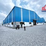  10000m2 - 6