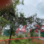  420m2 - 3