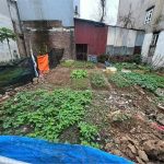  50m2 - 1