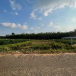  890m2 - 5