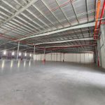  5000m2 - 3