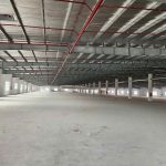  59500m2 - 5