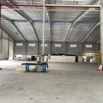  6000m2 - 3