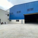  6000m2 - 5