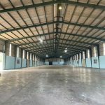  1000m2 - 5