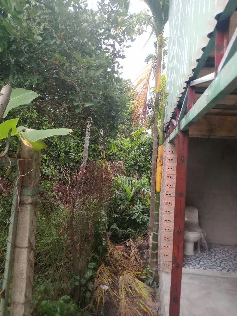 Cho Thuê Đất Sân Vườn Tân An, Thủ Dầu Một, Bình Dương – Diện Tích 2.000m², Giá 36 Triệu/Tháng. Liên hệ: