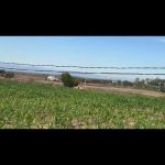  89000m2 - 4