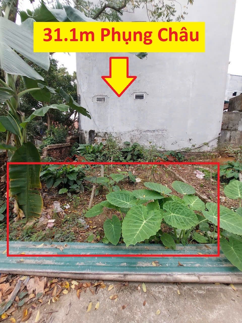 CHÍNH CHỦ BÁN LÔ ĐẤT 31,1M TẠI PHỤNG CHÂU-CHƯƠNG MỸ-HÀ NỘI