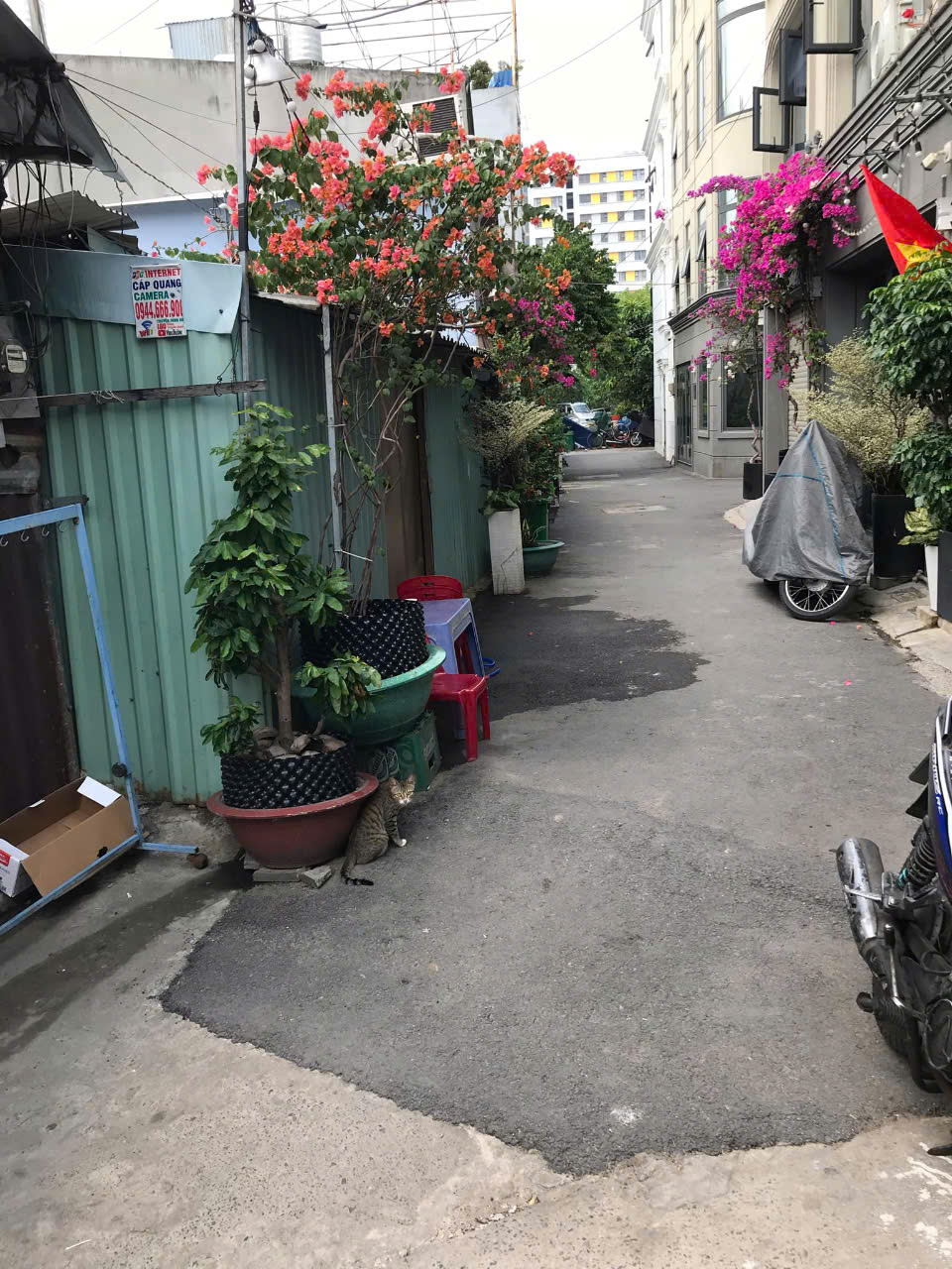 CHO THUÊ NHÀ NHỎ RIÊNG BIỆT. Nhà hẻm ngõ. Xe hơi đi đc, hẻm 736 Lê Đức Thọ Gò Vấp