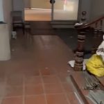  240m2 - 1