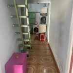  100m2 - 6
