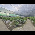  6100m2 - 4
