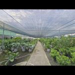  6100m2 - 1