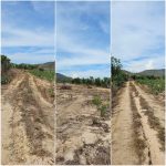  47000m2 - 3