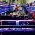  60m2 - 1