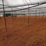  5500m2 - 6