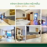  50m2 - 3