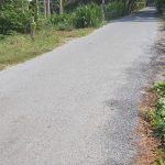  439m2 - 3