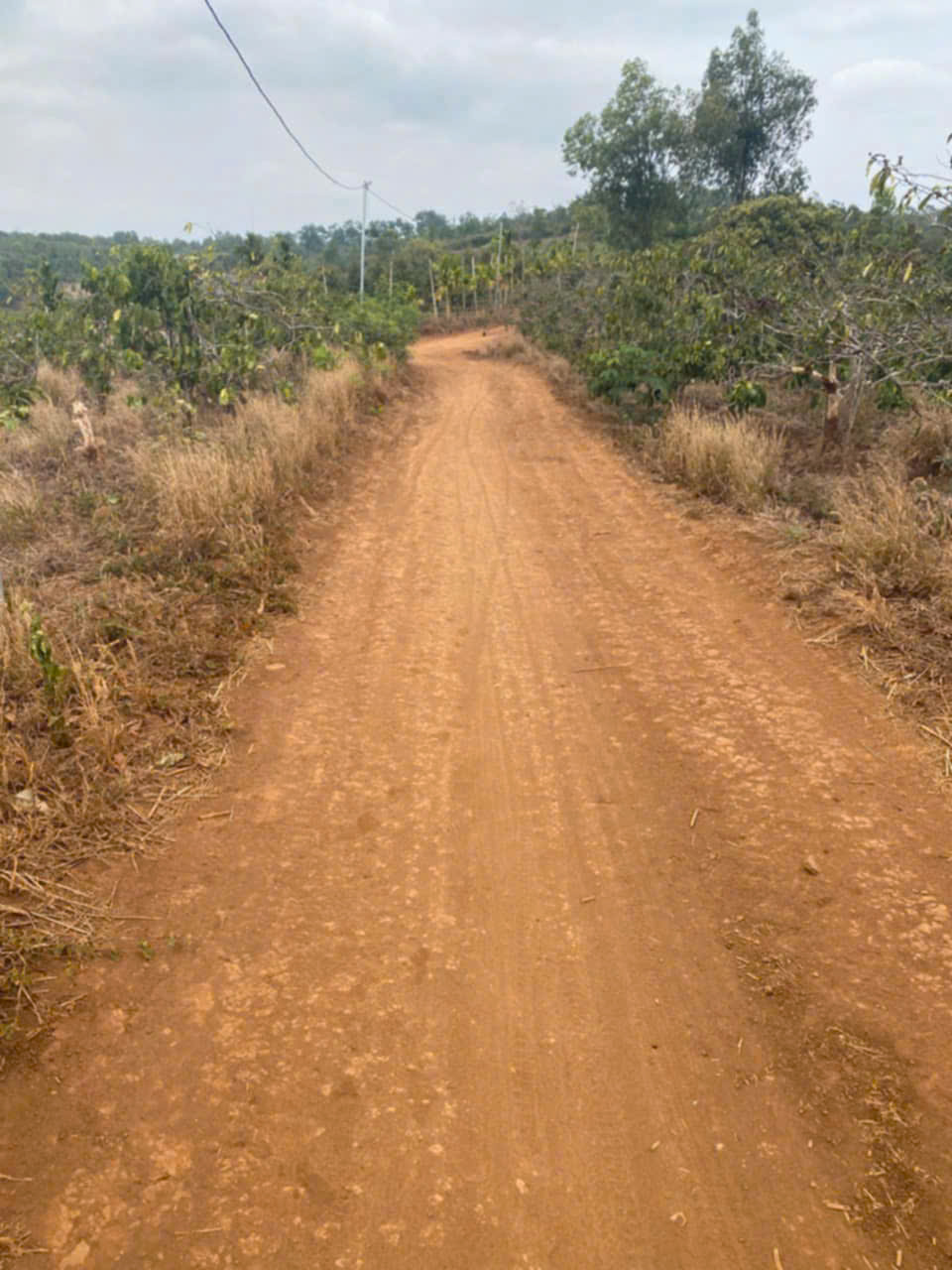 Víp hơn 5 sào đất tại Ea Sin-Krong Busk- Đắk Lắk đất đỏ bazan mà giá chỉ 599tr