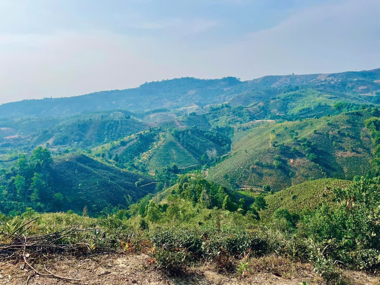 700 TRIỆU LÔ ĐẤT HƠN 5 SÀO TẠI LỘC BẮC - LÂM ĐỒNG