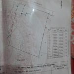  10000m2 - 1