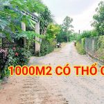  1000m2 - 4