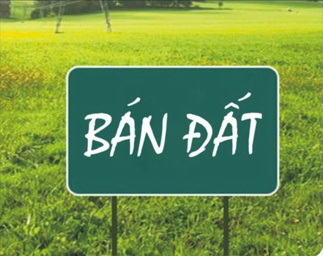 CHÍNH CHỦ CẦN BÁN LÔ ĐẤT ĐẸP - GIÁ TỐT - Vị Trí Đắc Địa Tại, Xã Phương Trung, Thanh Oai, TPHN