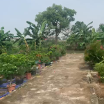  50m2 - 1