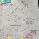  94m2 - 1