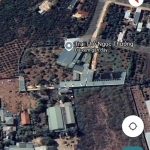 6000m2 - 1