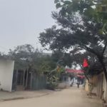  50m2 - 3