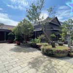  700m2 - 7