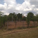  1240m2 - 3