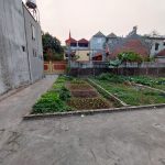  42m2 - 3