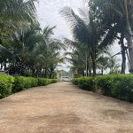  2200m2 - 1