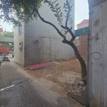  56m2 - 4