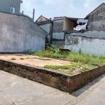 50m2