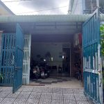  100m2 - 1