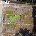  75m2 - 3