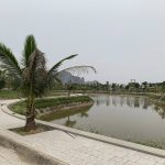  60m2 - 5