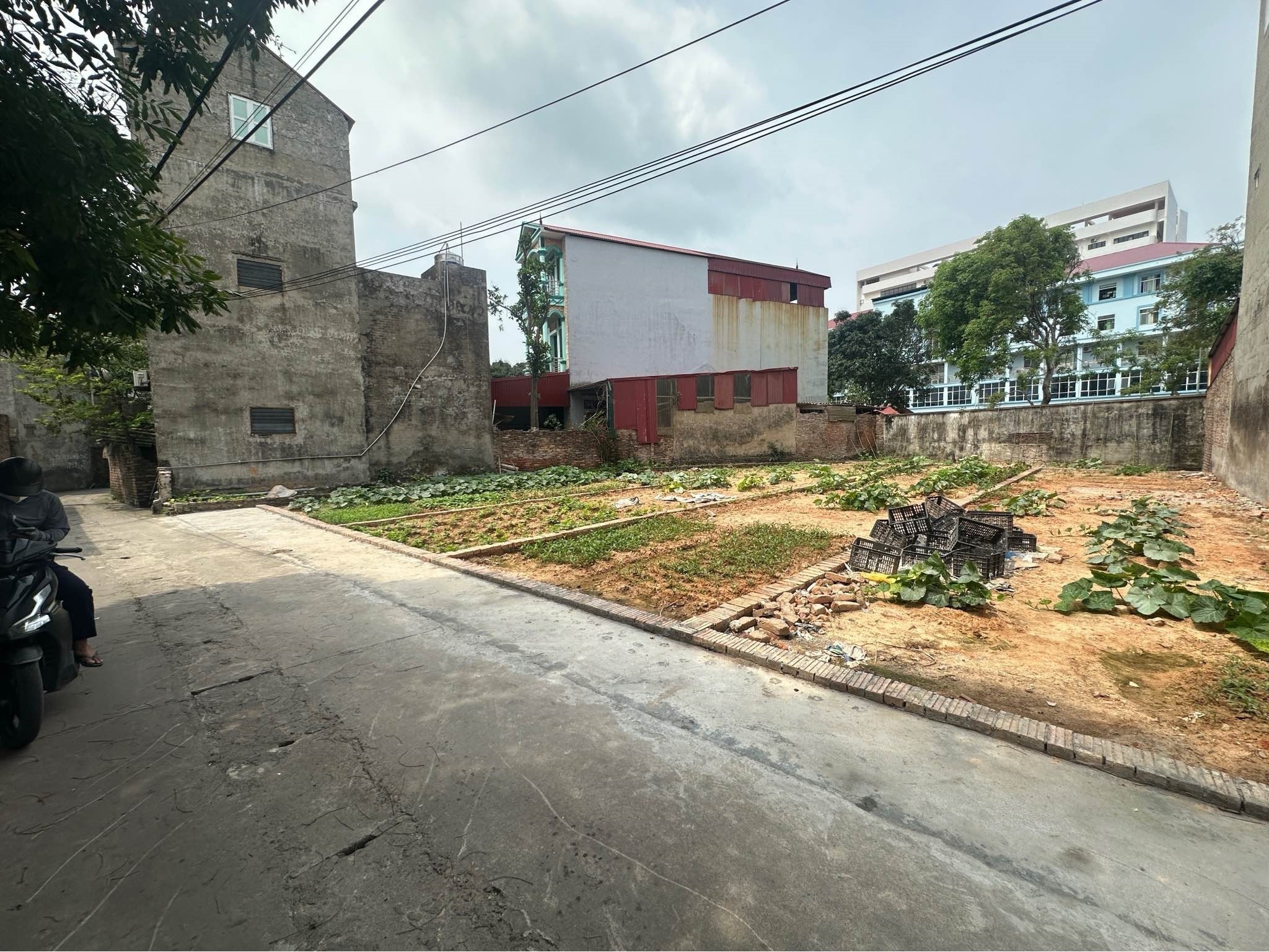 Bán đất Gia Bình, Bắc Ninh. 85m2 * mt 5m * 2,05 tỷ. Lô Góc, full thổ cư